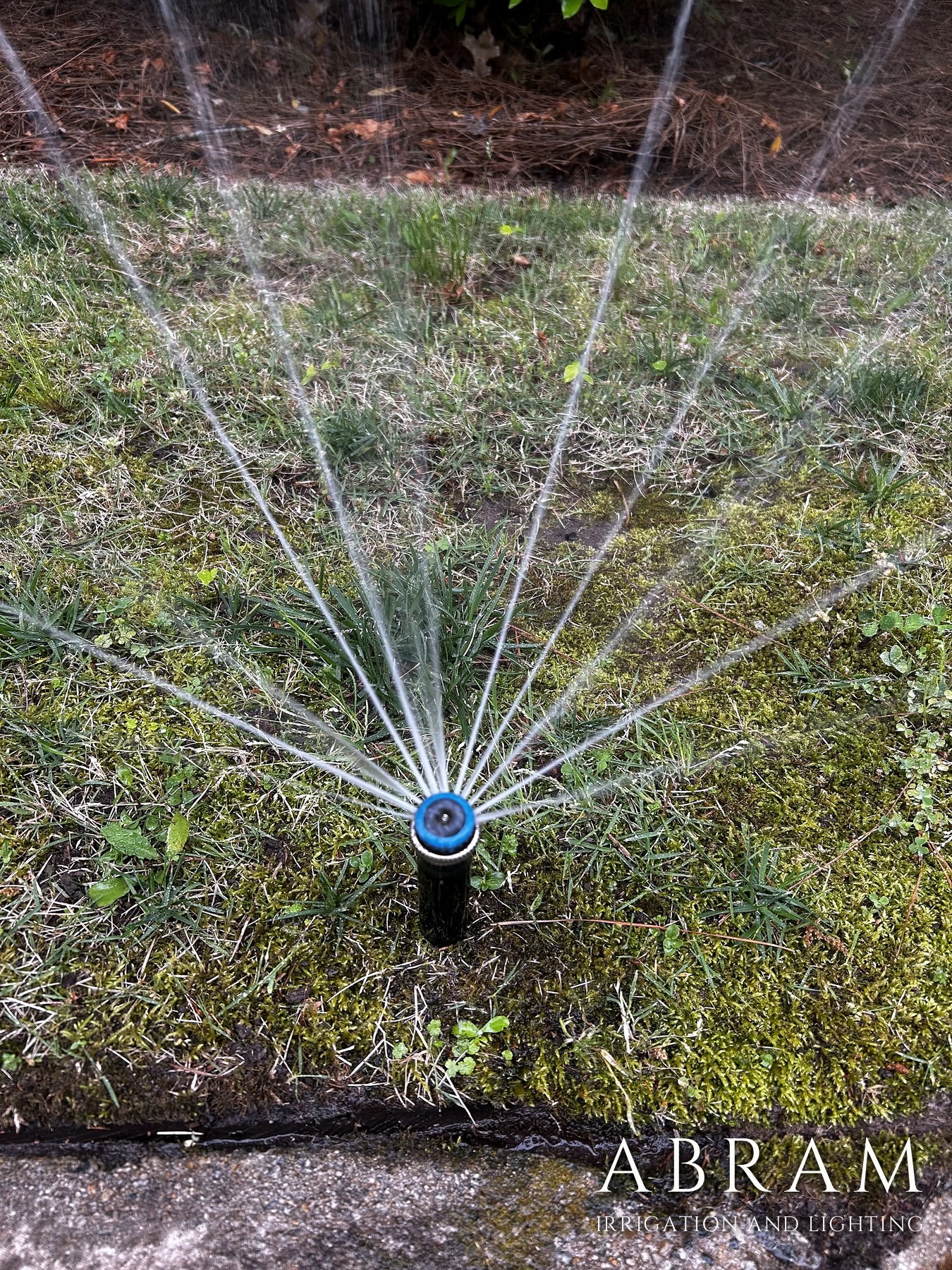 Diagnosing Uneven Coverage: Why Your Lawn Has Dry Spots